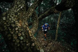 BIB: 
                            <button type="button" onclick="openModal(25695613)" class="btn btn-primary btn-sm float-right btn-popup" data-toggle="modal" data-target=".modal-high-quality">
                        <i class="fas fa-shopping-cart"></i> Add to Cart
                    </button>
                                            <button type="button" onclick="isThisMe(25695613, true)" class="btn btn-success btn-sm float-right btn-popup btn-isme hidden" data-toggle="tooltip" data-placement="bottom" title="นี่คือรูปของคุณใช่ไหม คลิกที่นี่เพื่อเอาเข้าอัลบั้ม">
                        <i class="fas fa-plus"></i> Add to album
                    </button>
                    <button type="button" onclick="isThisMe(25695613, false)" class="btn btn-warning btn-sm float-right btn-popup btn-isnotme hidden">
                        <i class="fas fa-ban"></i> Remove from album
                    </button>